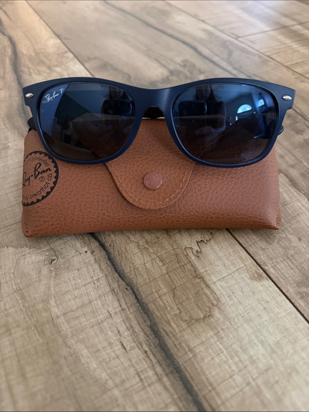 Ray-Ban Men's dark Blue Frame Sunglasses with Brown Case